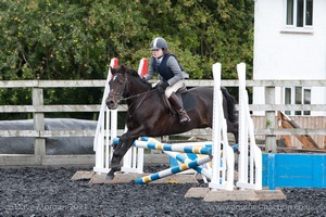 Class 4 - Fences 2'3 to 2'6